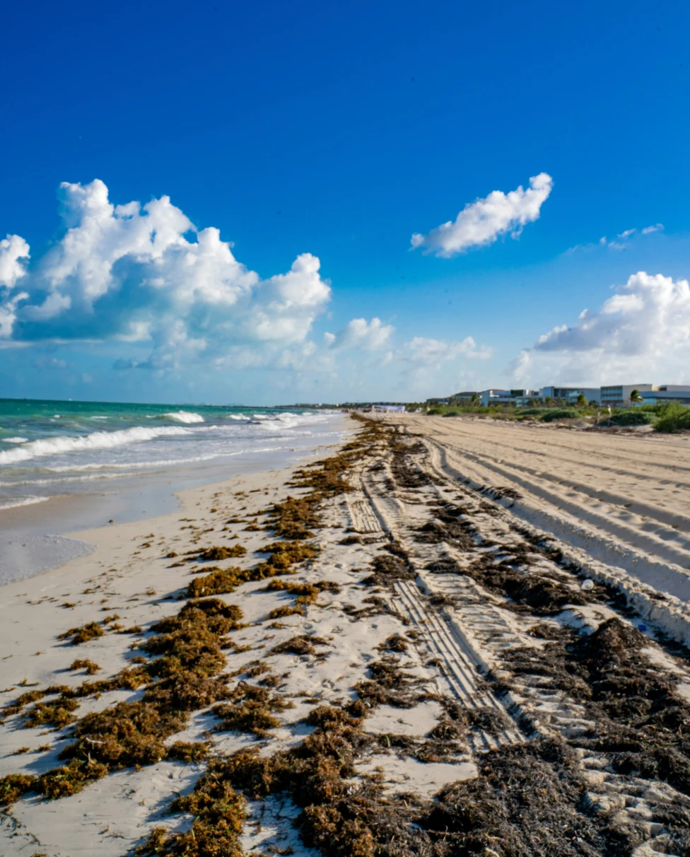 Advisor - Beyond Cancún: An Elegant Escape to Costa Mujeres