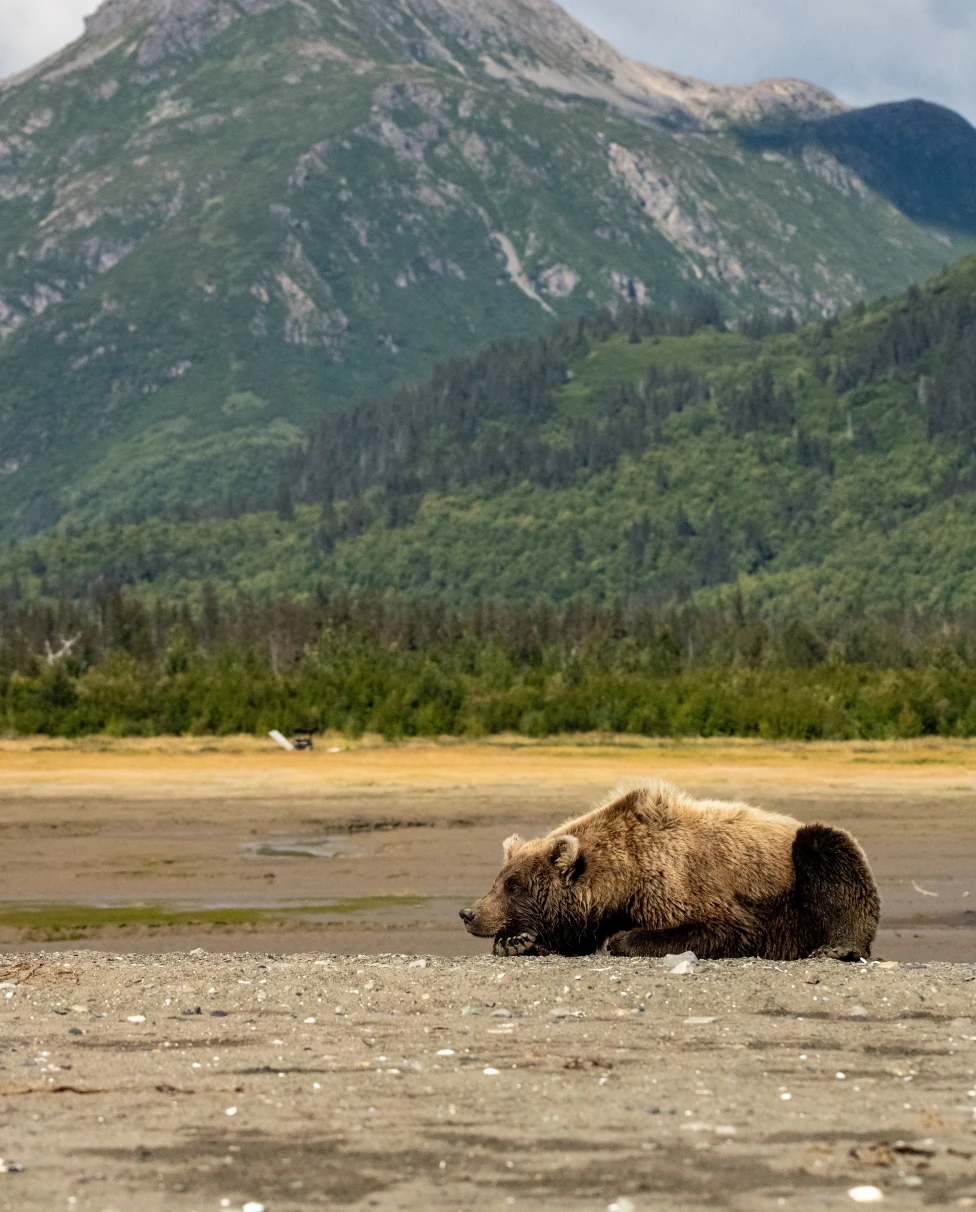 Advisor - A Long Weekend in Alaska