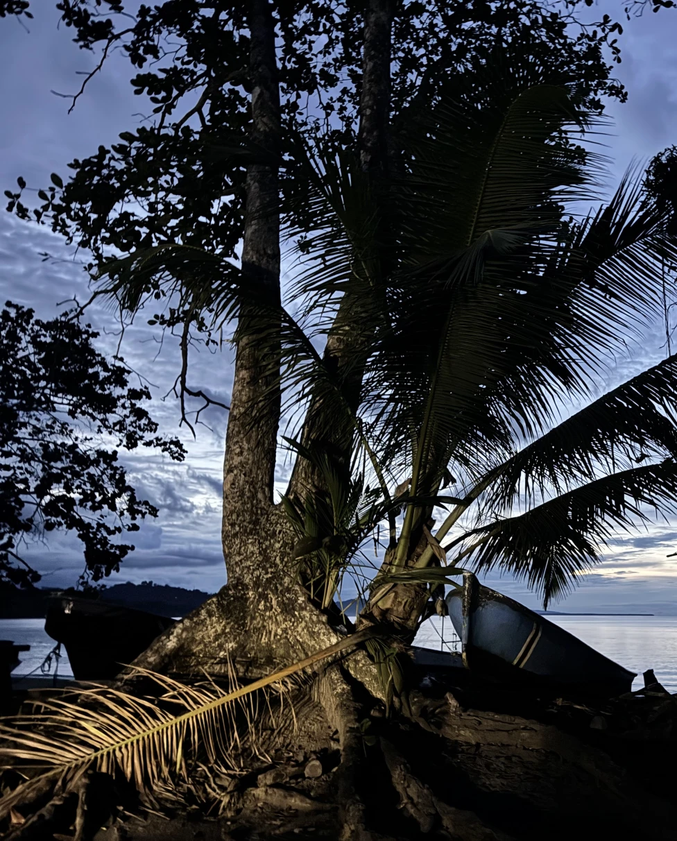 Advisor - Land & Sea in Costa Rica in 9 Days