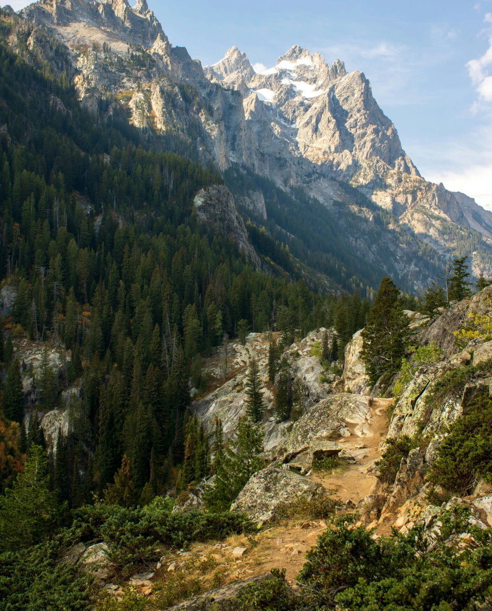 Advisor - Jackson Hole Summer: A Three-Day Itinerary