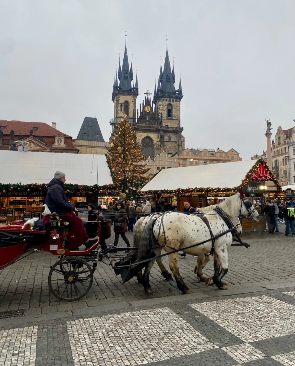 Advisor - Holiday Markets & Old World Charm: A 9-Day Winter Itinerary for Budapest, Salzburg & Prague