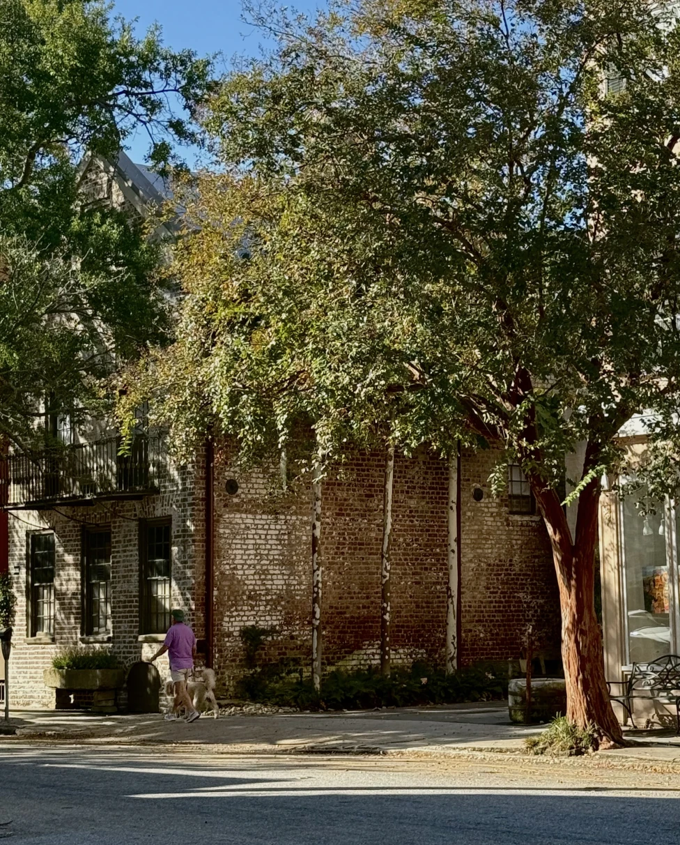 Advisor - Charmed by Charleston: A Perfect Fall Weekend Getaway