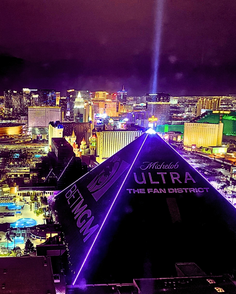 Advisor - Las Vegas: Choosing the Right Experience