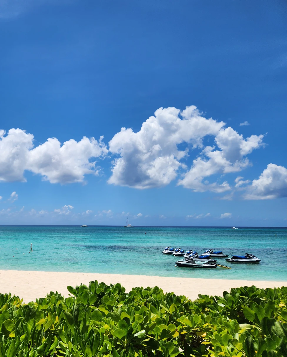 Advisor - Grand Cayman: A Foodie’s Paradise