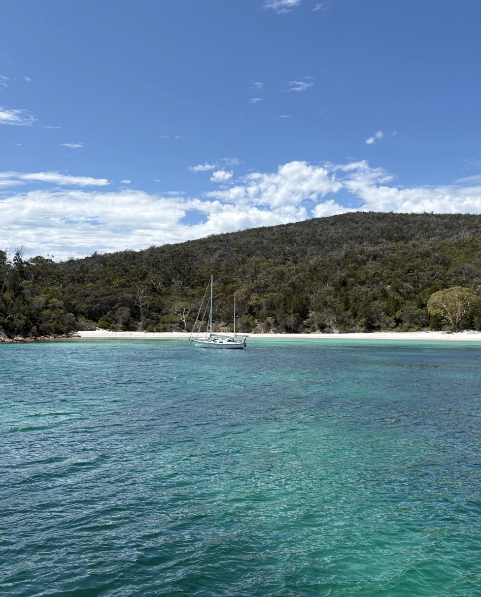 Advisor - Tasmania's Treasures