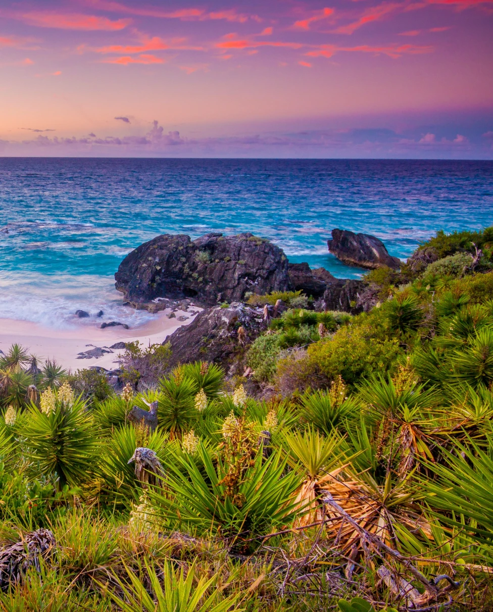 Advisor - Bermuda for a Long Weekend: A Couples Getaway Guide