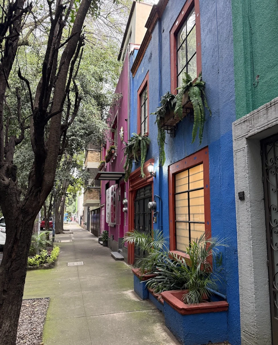 Advisor - 3 Days in Mexico City: Incredible Food, Museums & Adventures