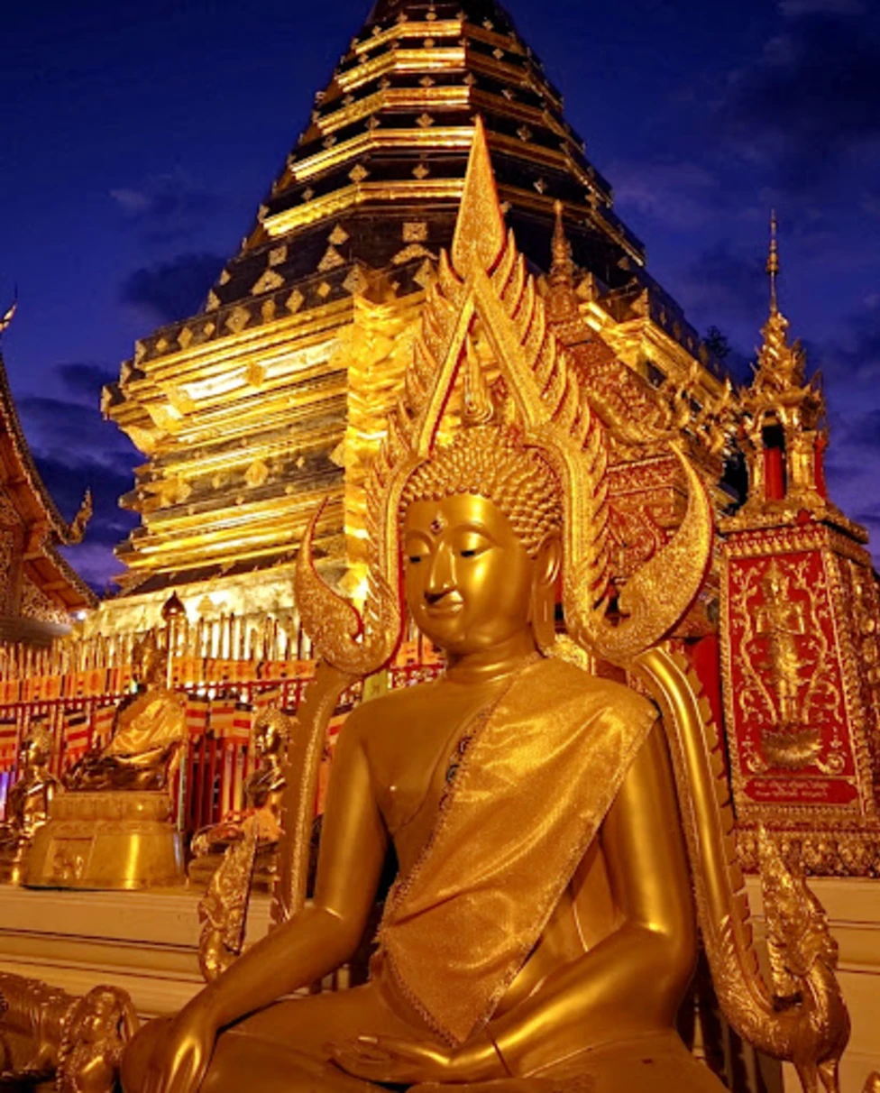 Advisor - Ultimate Thailand: From the North to the South