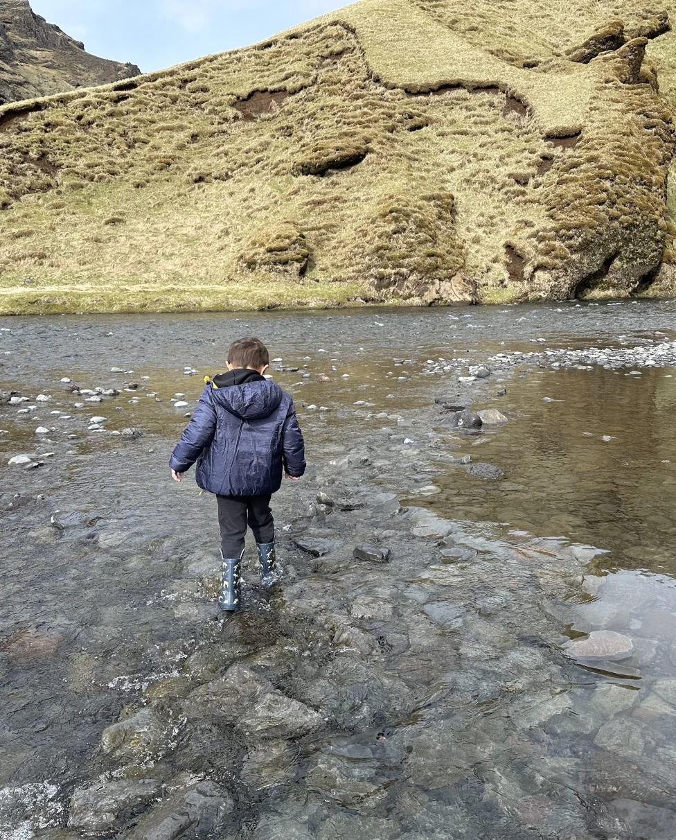 Advisor - Reykjavik, Iceland with Young Kids