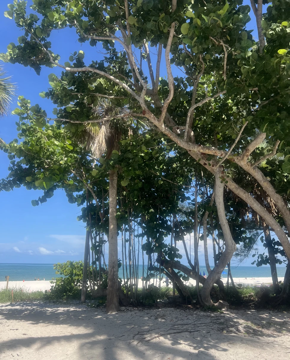 Advisor - A Local’s Guide to the Best of Naples, Florida