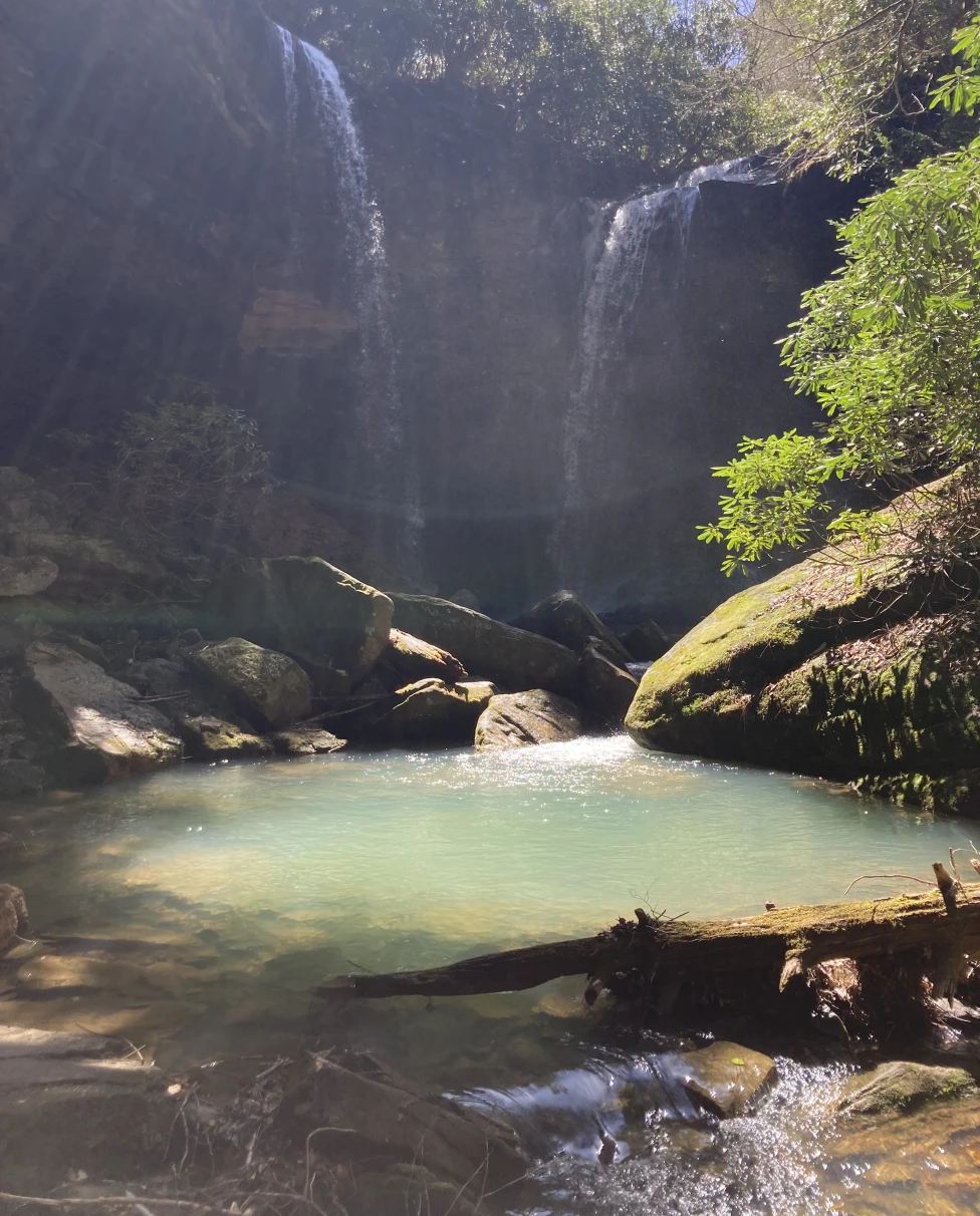 Advisor - Lexington’s Best