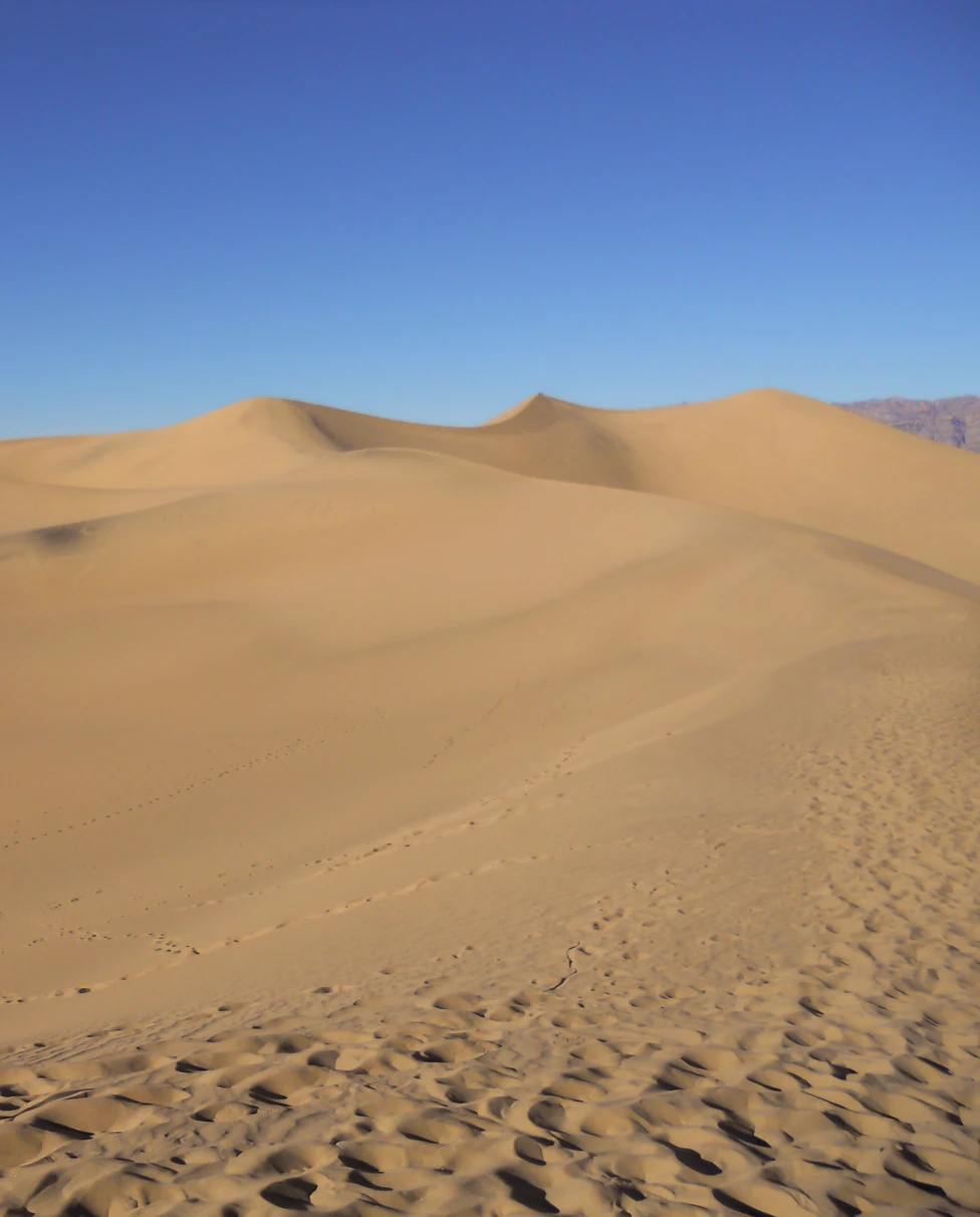 Advisor - Winter Desert Oasis in Death Valley National Park