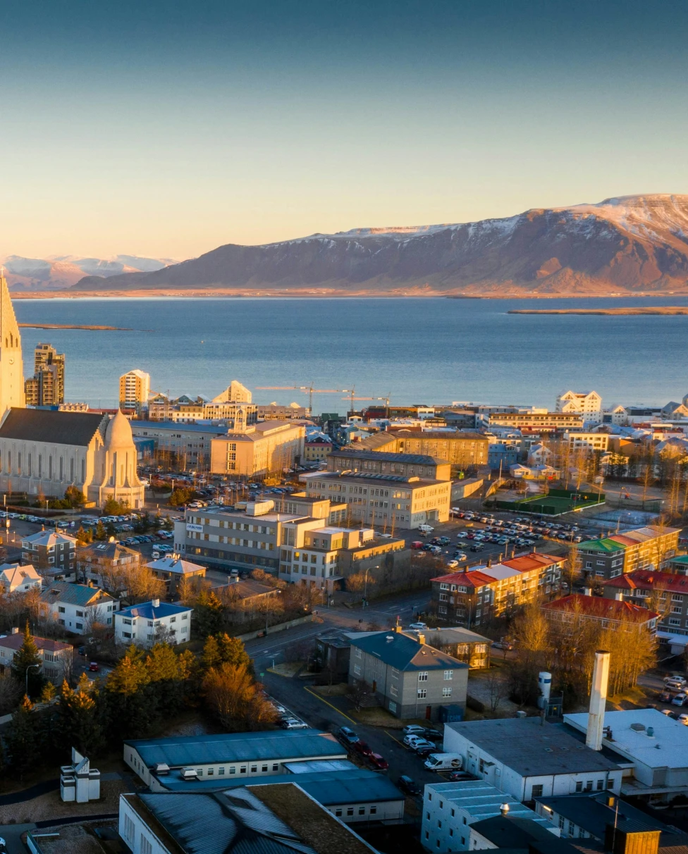 Advisor - A Local Icelander's Ultimate Reykjavík Food Guide