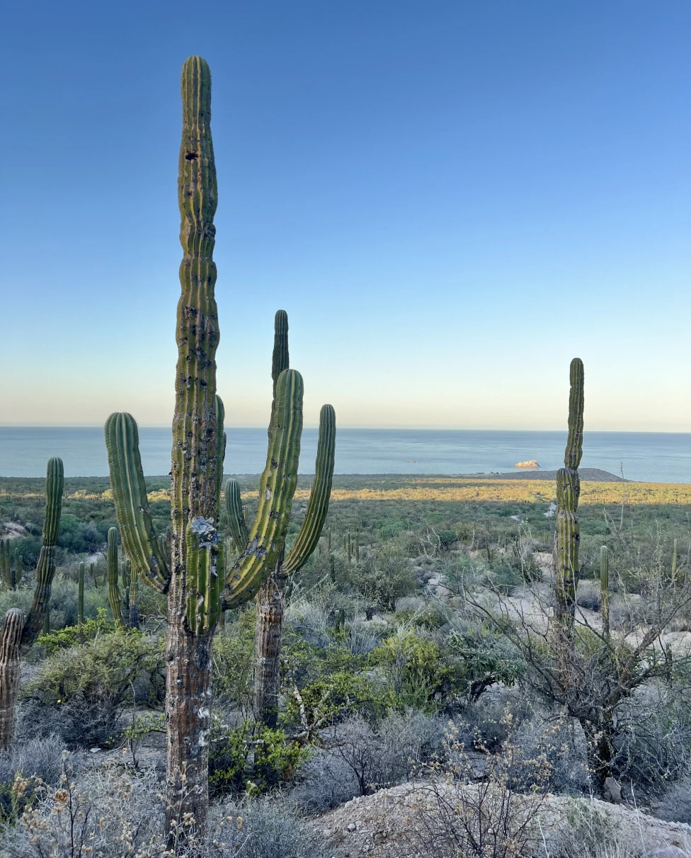 Advisor - La Paz, Mexico: Baja Beyond Cabo