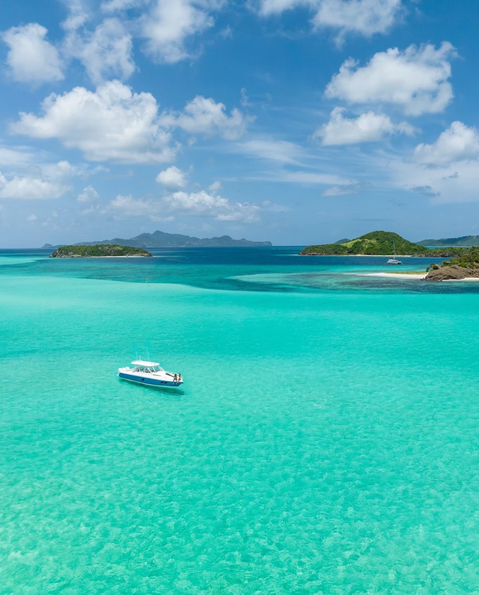 Advisor - The Ultimate Guide to St. Vincent & the Grenadines