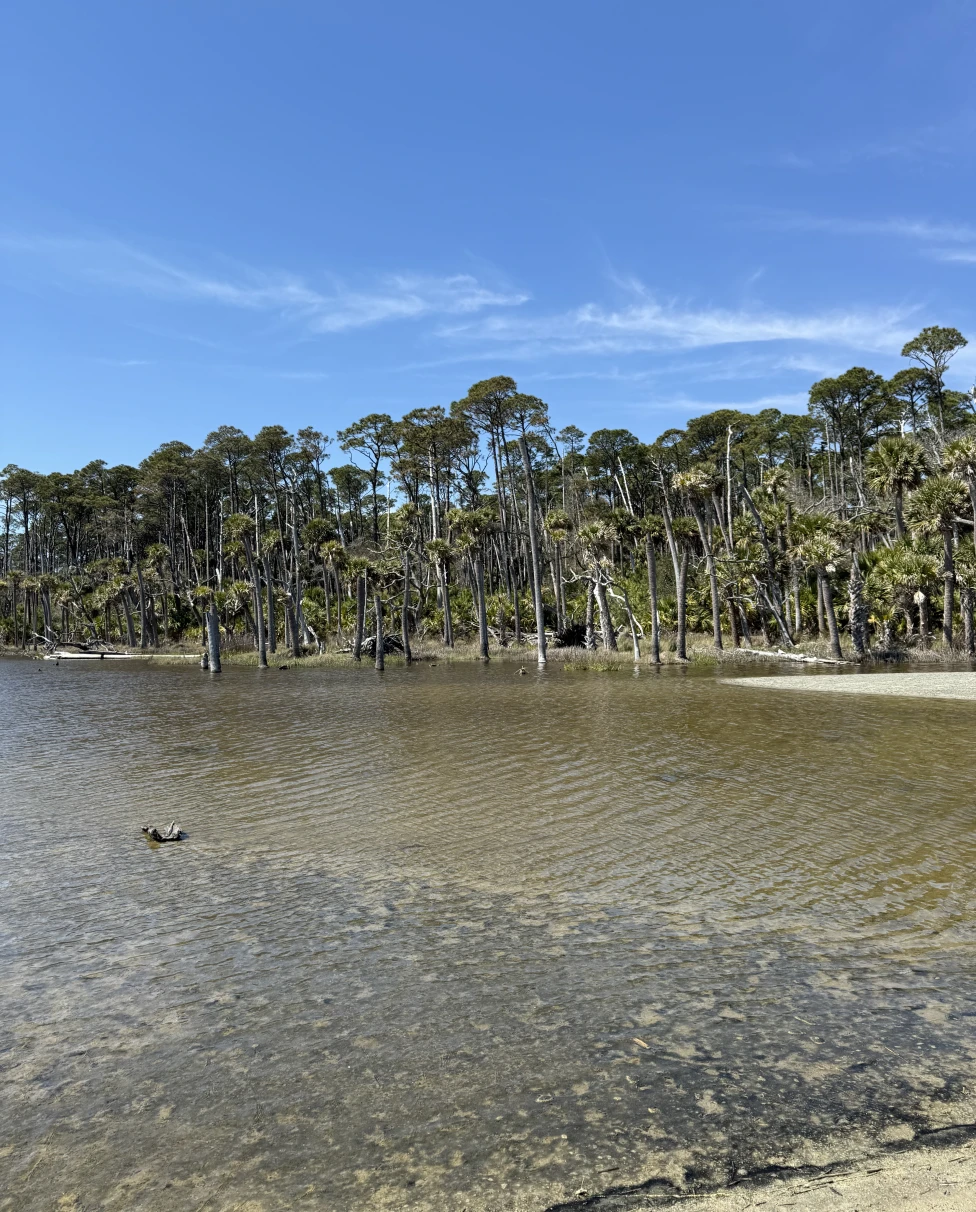 Advisor - A Hiker’s Guide to Hunting Island State Park, South Carolina