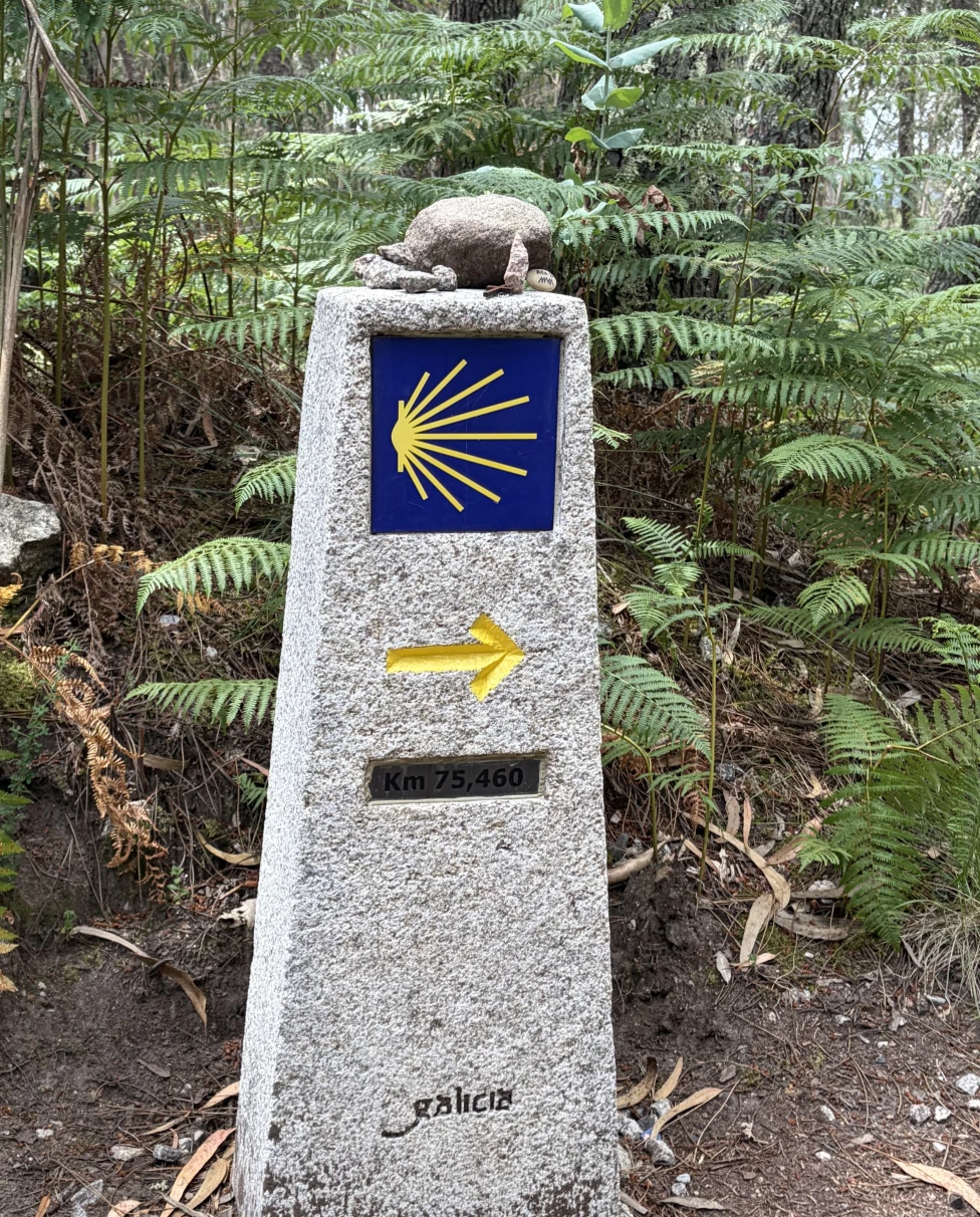 Advisor - Walking the Portuguese Coastal Camino: Oia to Santiago de Compostela