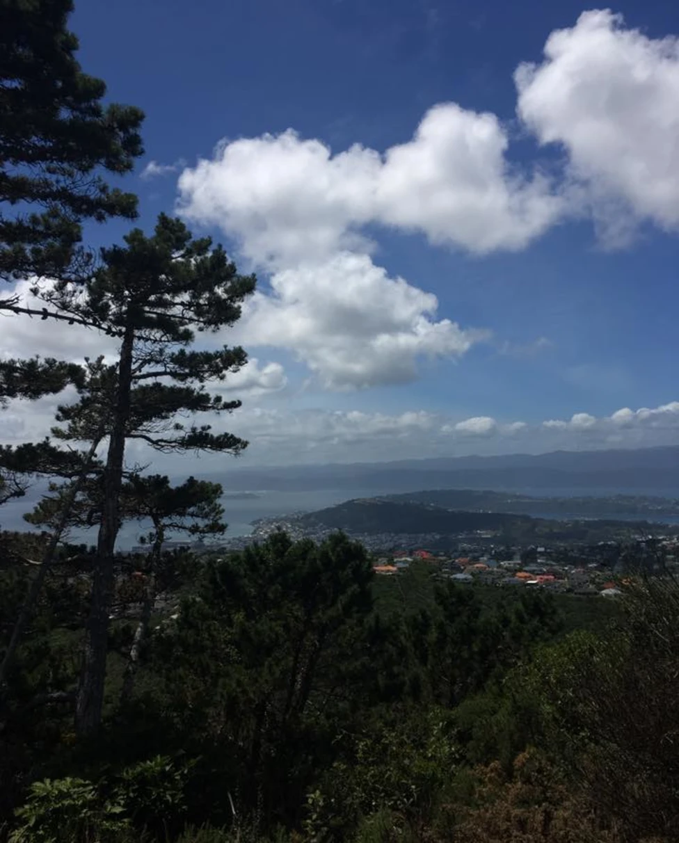 Advisor - Deep Dive Into Wellington, New Zealand