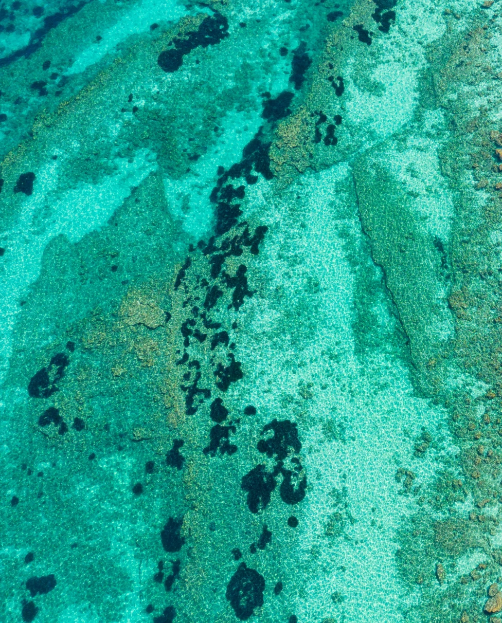 Advisor - Calabria: Italy’s Hidden Gem