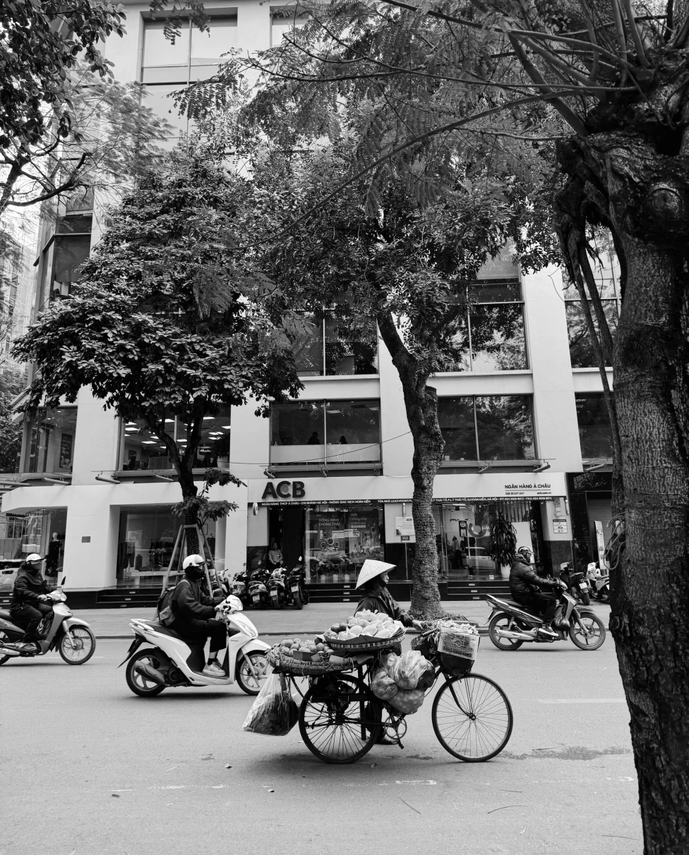 Advisor - Vietnam City-Hopping: Ho Chi Minh City and Hanoi