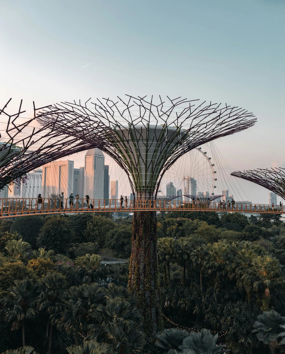 Advisor - An Insider's Guide to Singapore