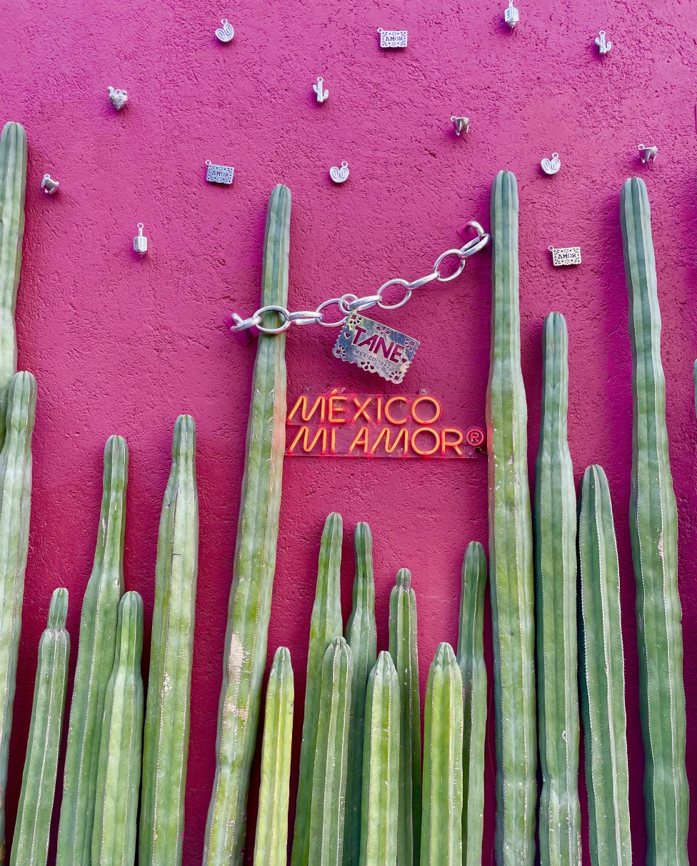 Advisor - Mexico City Travel Guide: Food, Culture & Adventure