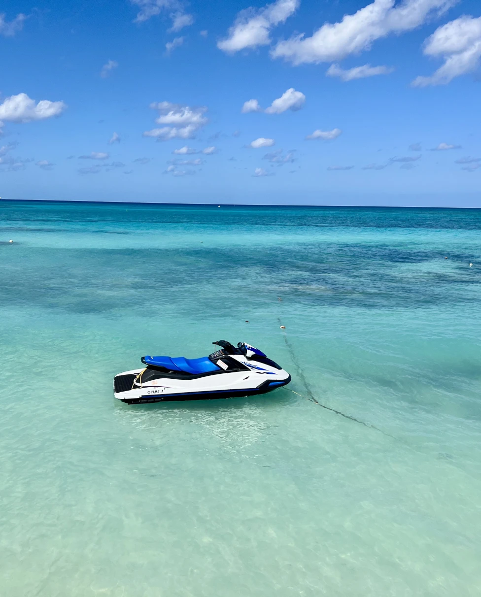 Advisor - Grand Cayman in the Caribbean: A Curated Guide