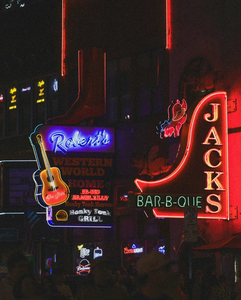 Advisor - Sing Your Way Through Nashville: Inspired by the TV Show Explore Music City