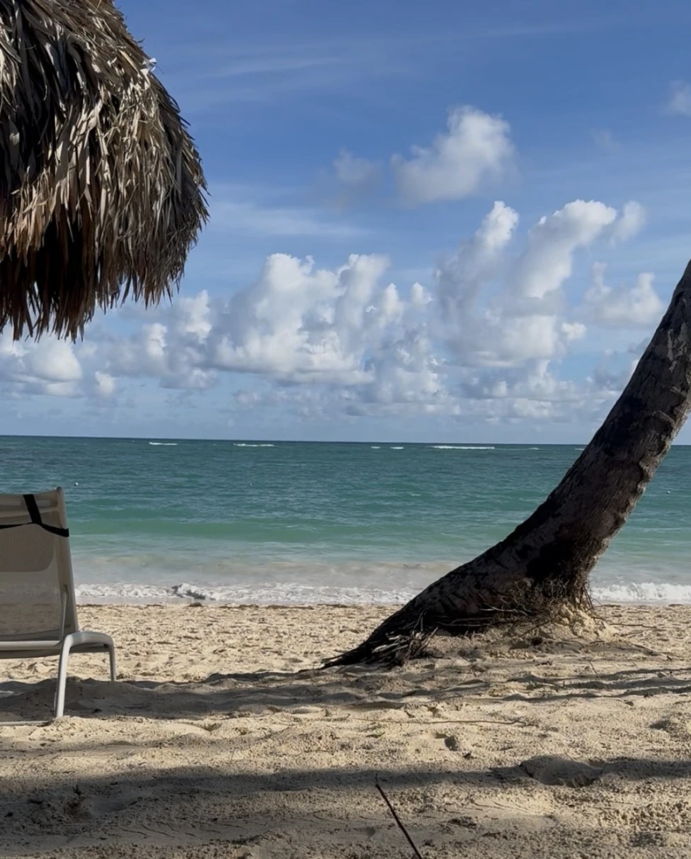 Advisor - The Ultimate Relaxation Destination: Punta Cana, Dominican Republic