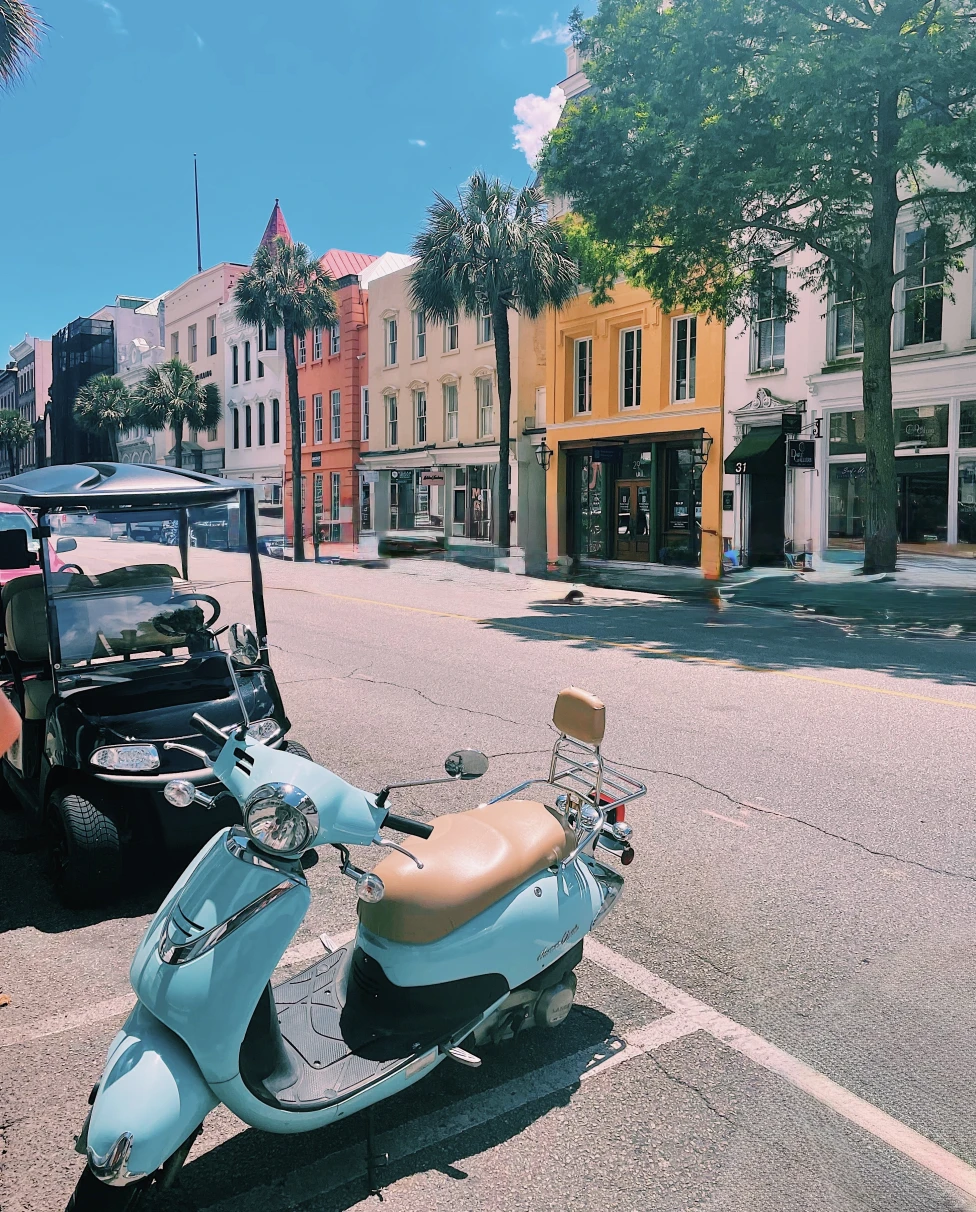 Advisor - Southern Charm & Coastal Views: A Charleston Guide