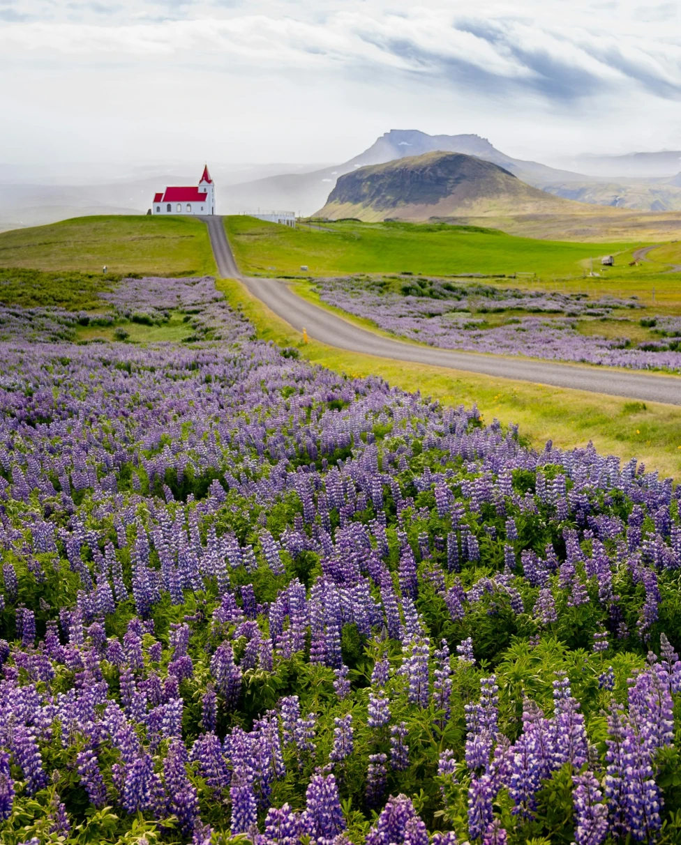 Advisor - Summer in Iceland: Self-Guided Adventuring