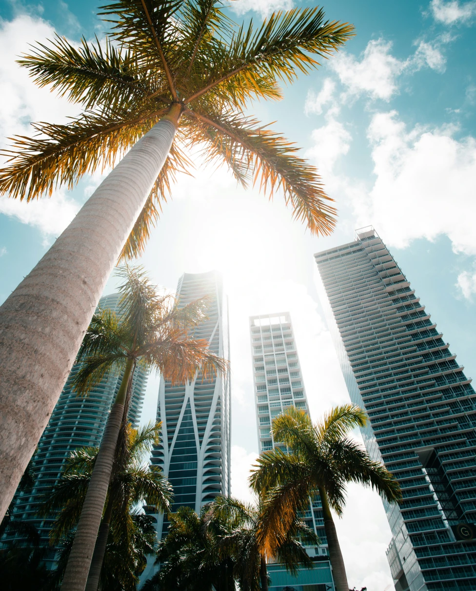 Advisor - Miami Unlocked: Sun, Style & Sophisticated Nights