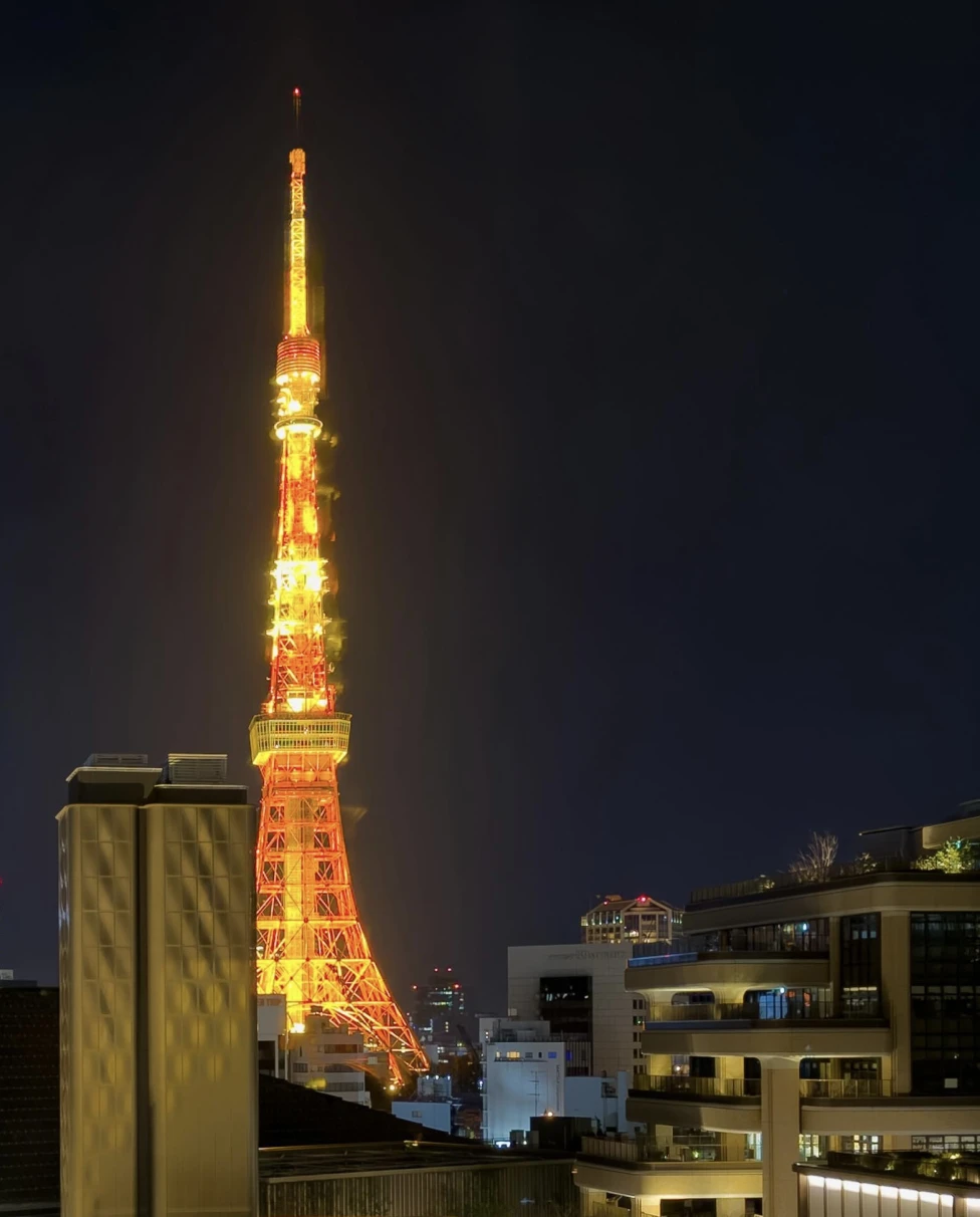 Advisor - Four Months in Tokyo: Where to Eat, Stay & Go