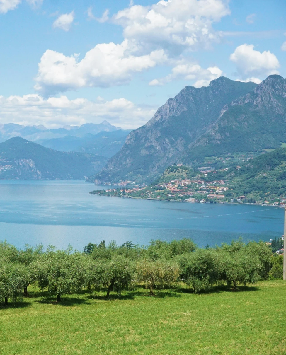 Advisor - Savor Franciacorta: A Journey Through Italy’s Hidden Gem