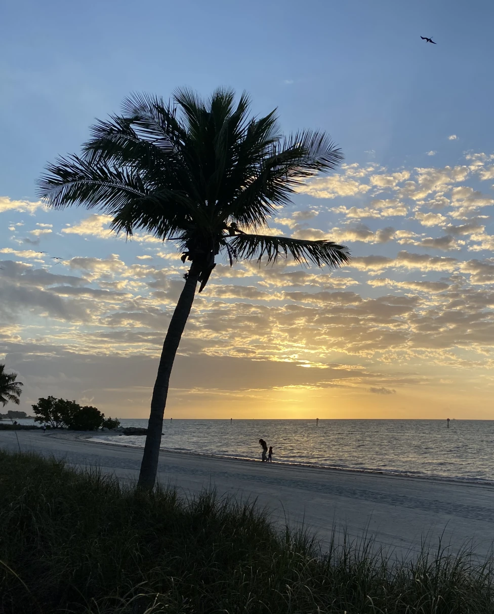 Advisor - Living Like a Conch in Key West