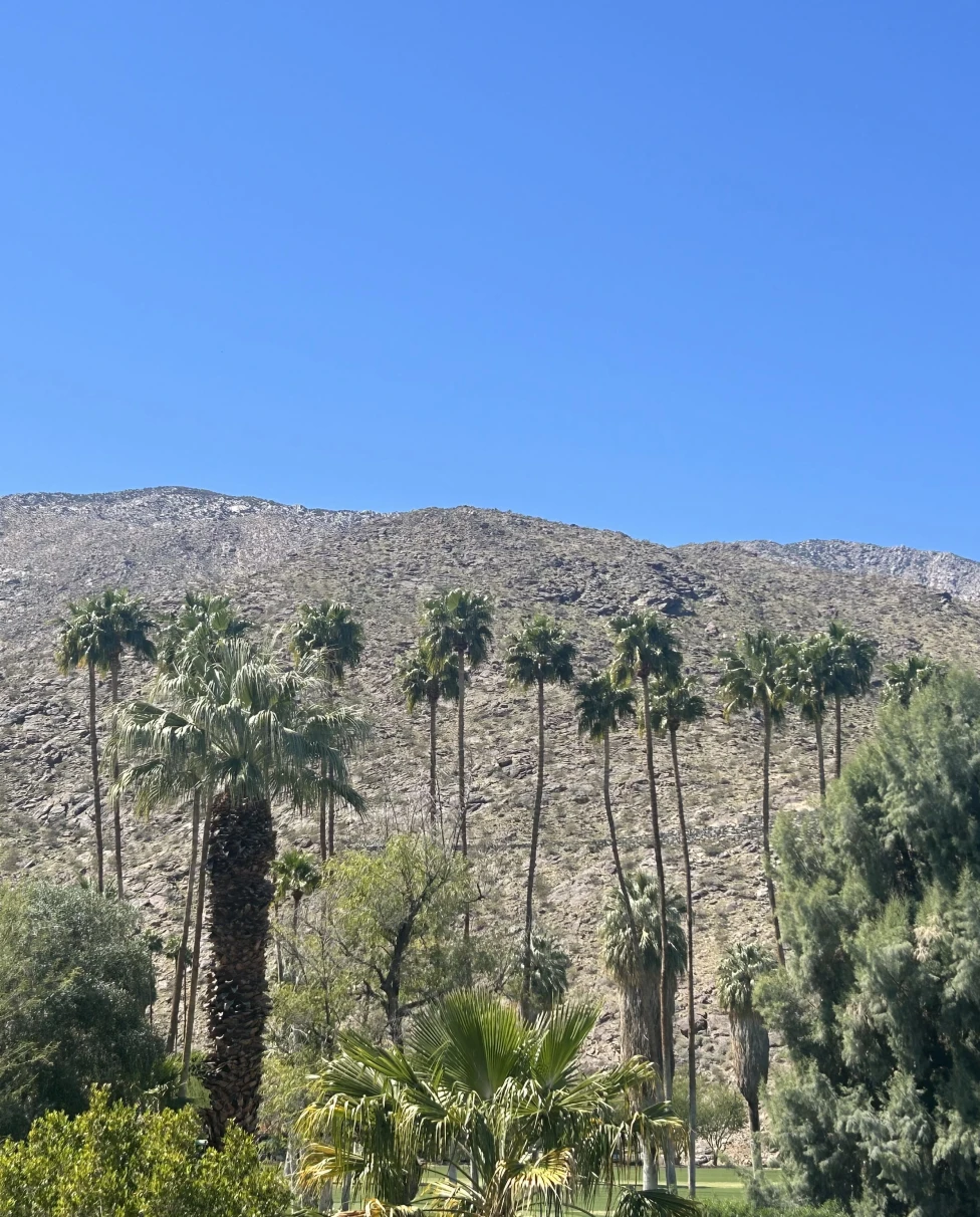 Advisor - Palm Springs: Desert Love with a Toddler
