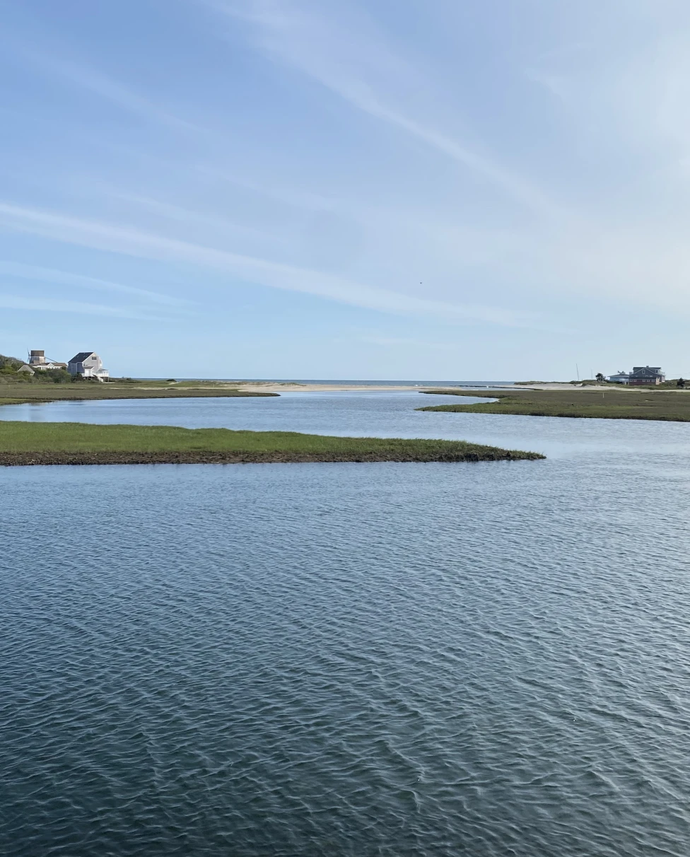 Advisor - Summertime on the Mid & Lower Cape