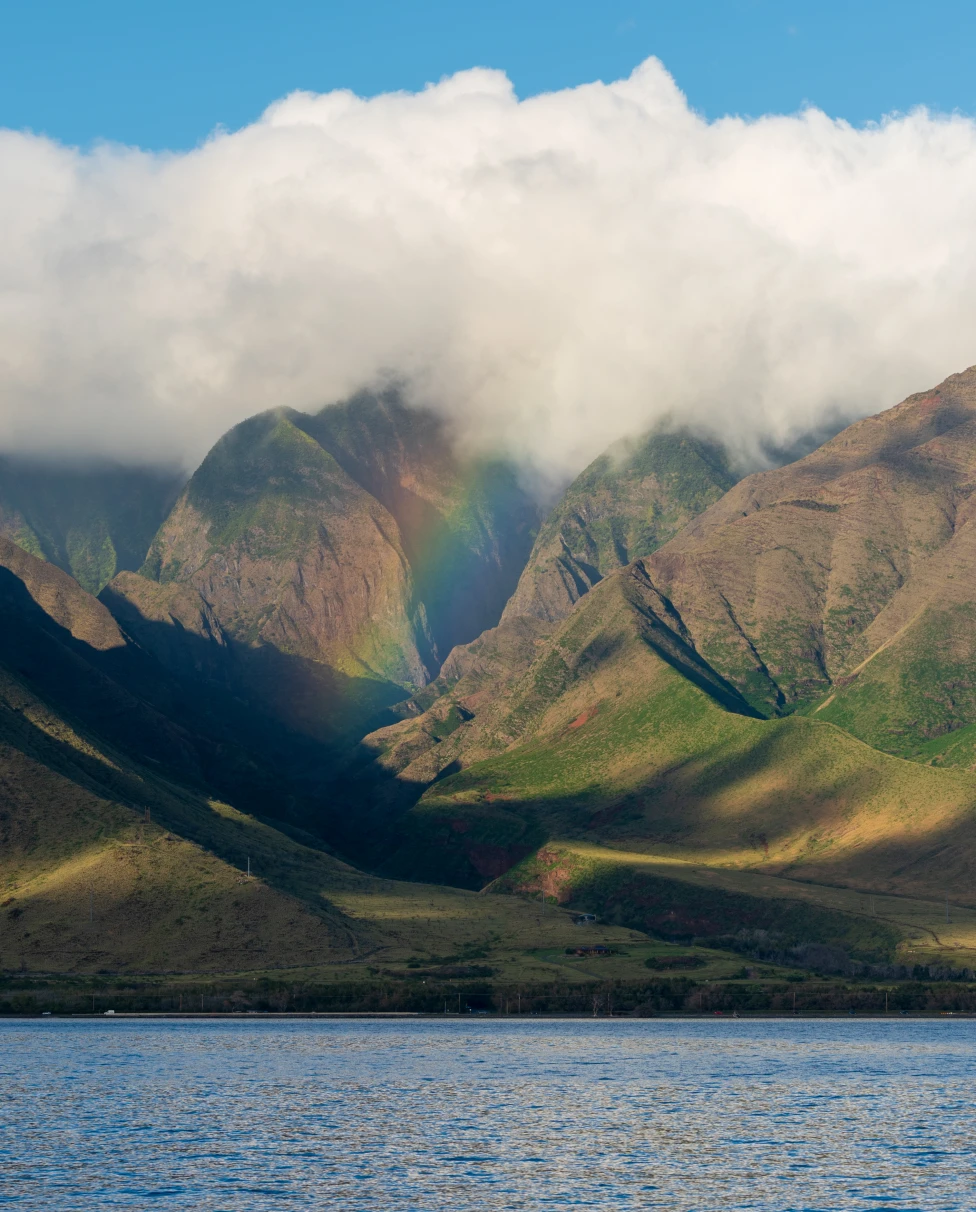 Advisor - Home in Paradise: My Maui Picks