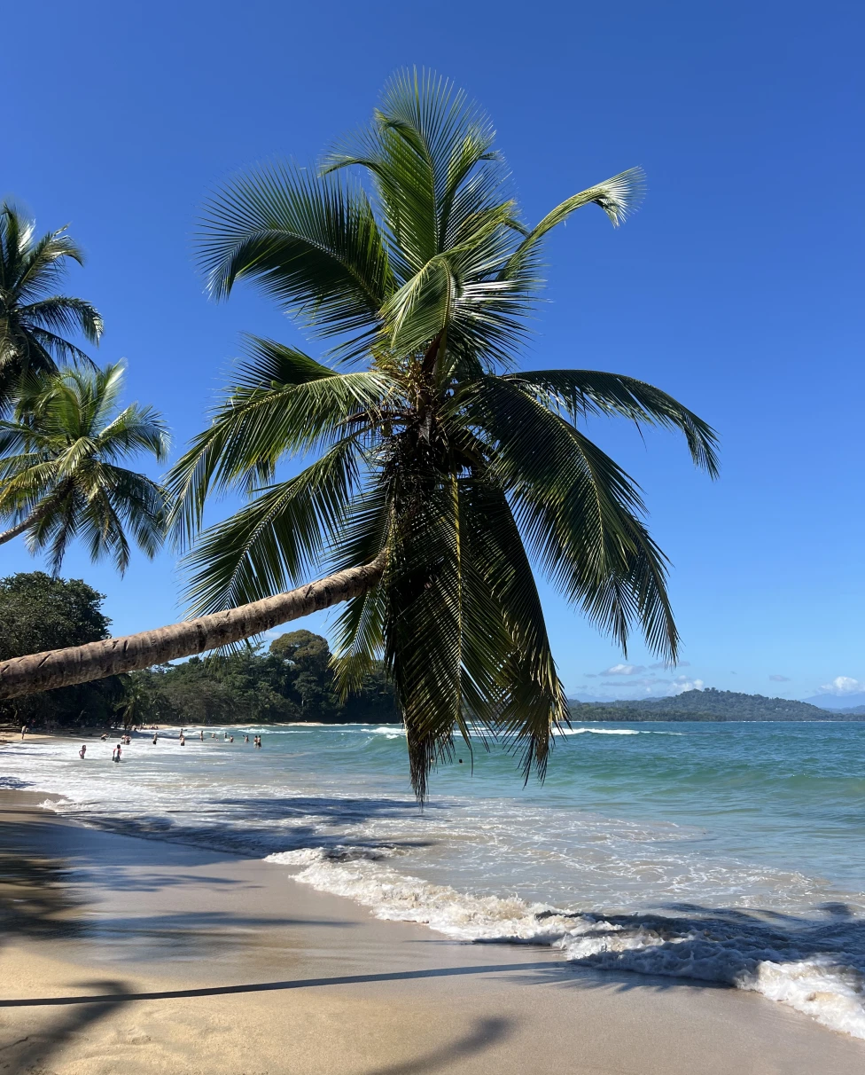 Advisor - Puerto Viejo: Discover Costa Rica’s Hidden Caribbean Gem