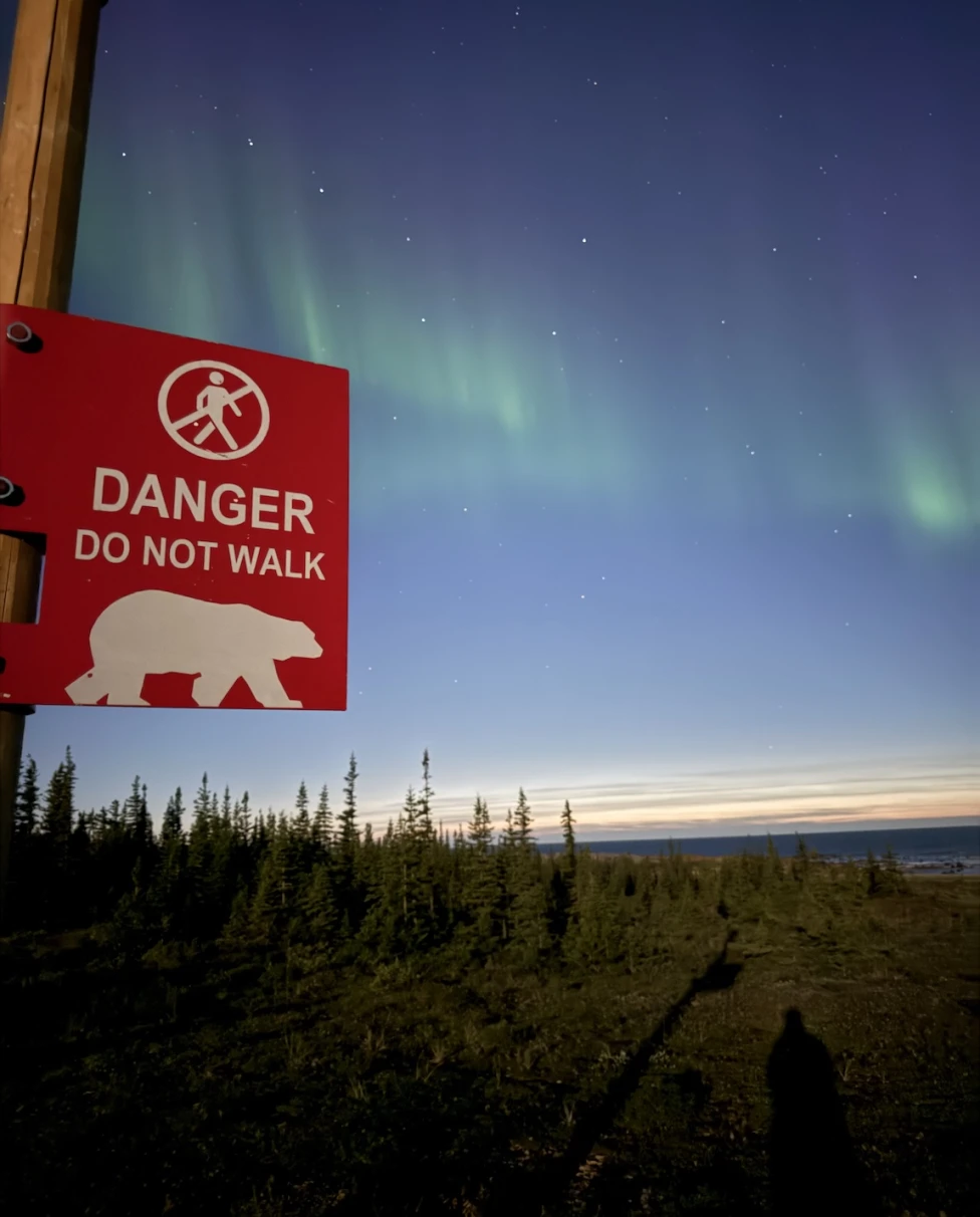 Advisor - Churchill: A Polar Bear & Beluga Playground