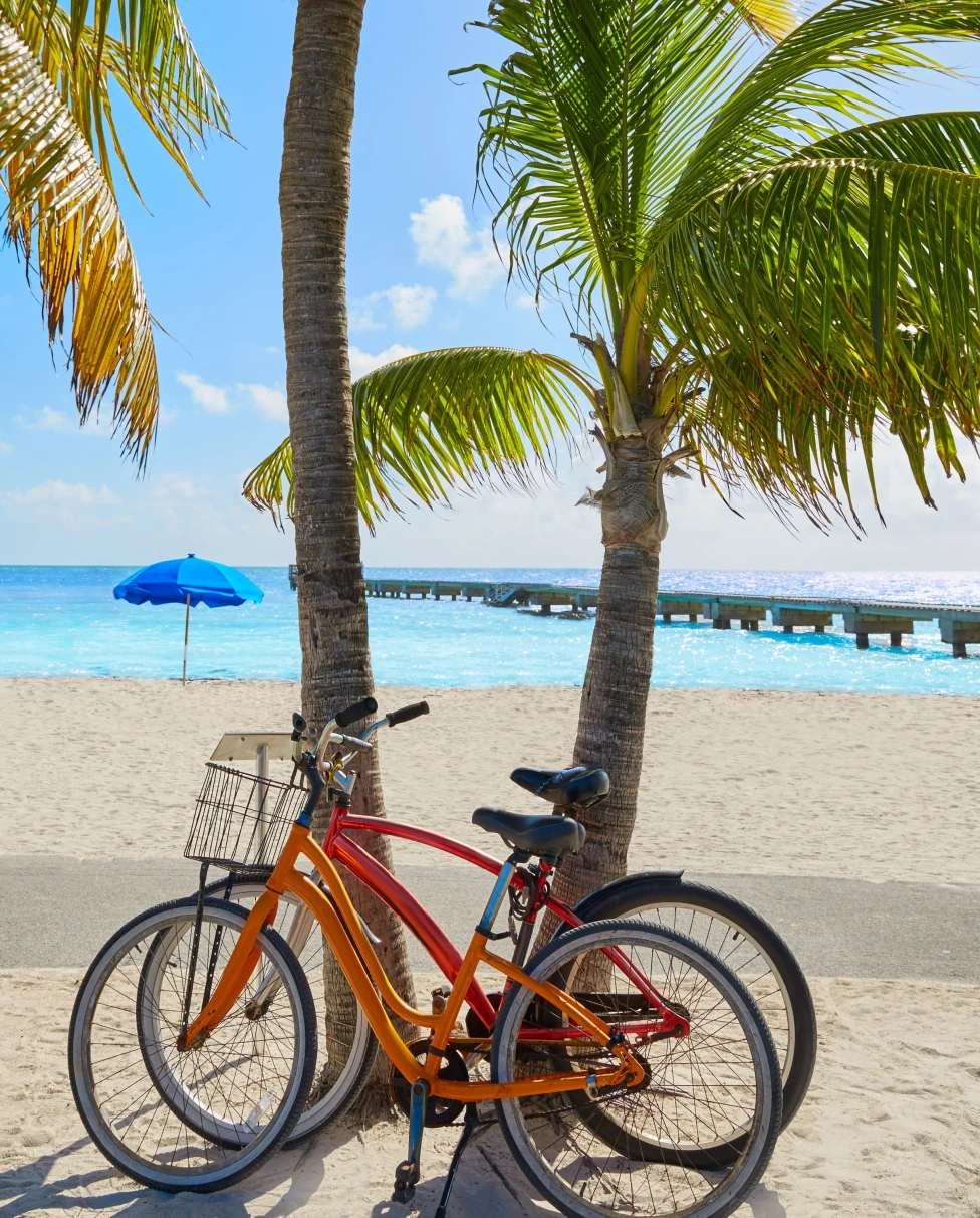 Advisor - Fort Lauderdale: Miami Beaches, Nature & Local Escapes