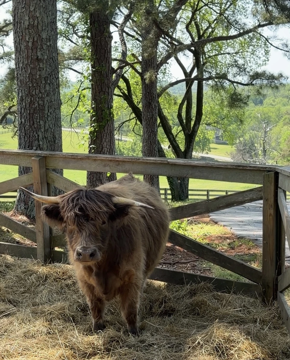 Advisor - Countryside: Franklin, Tennessee