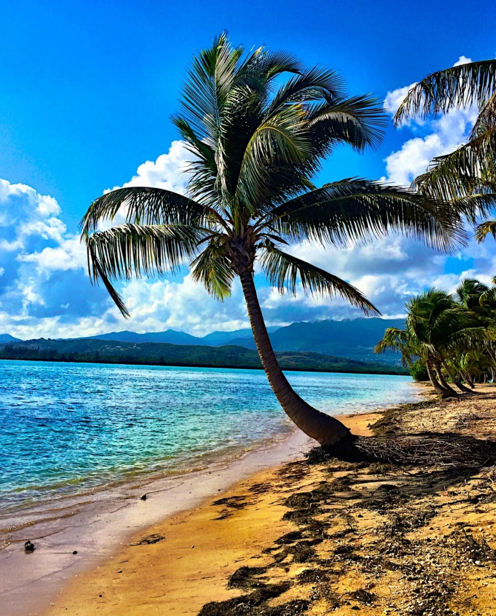 Advisor - A Journey Through Puerto Rico: Where Rhythm Meets Paradise