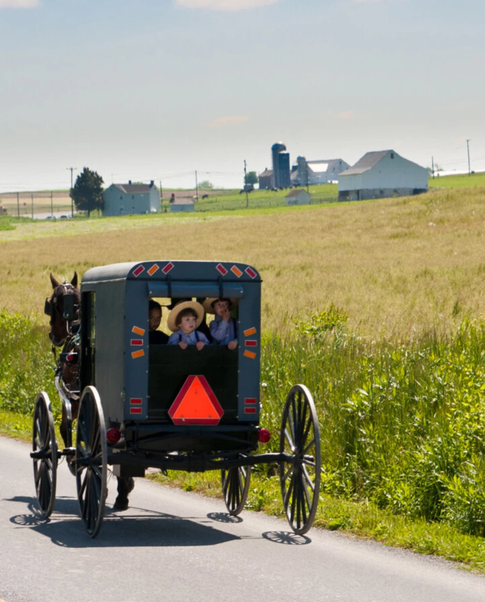 Advisor - A Guide to Harrisburg, Elizabethtown, Lancaster, PA & the Surrounding Areas