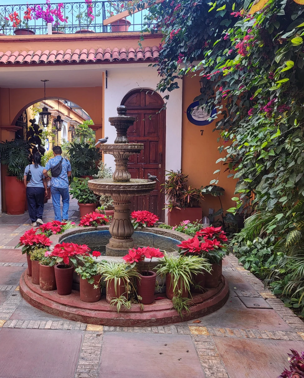 Advisor - 5 Colorful Days in Oaxaca, Mexico