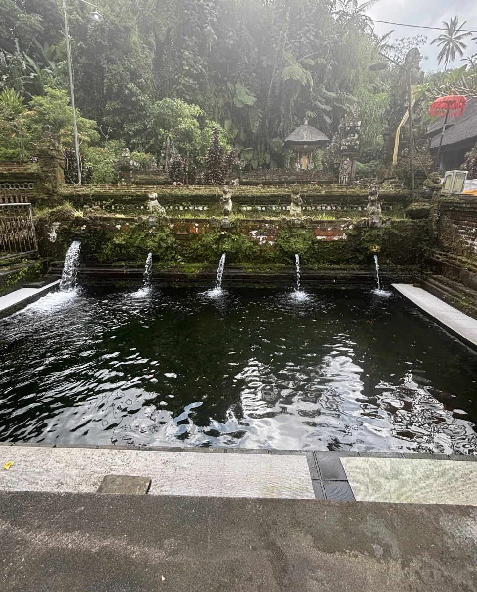 Advisor - Bali: Renewal for the Soul