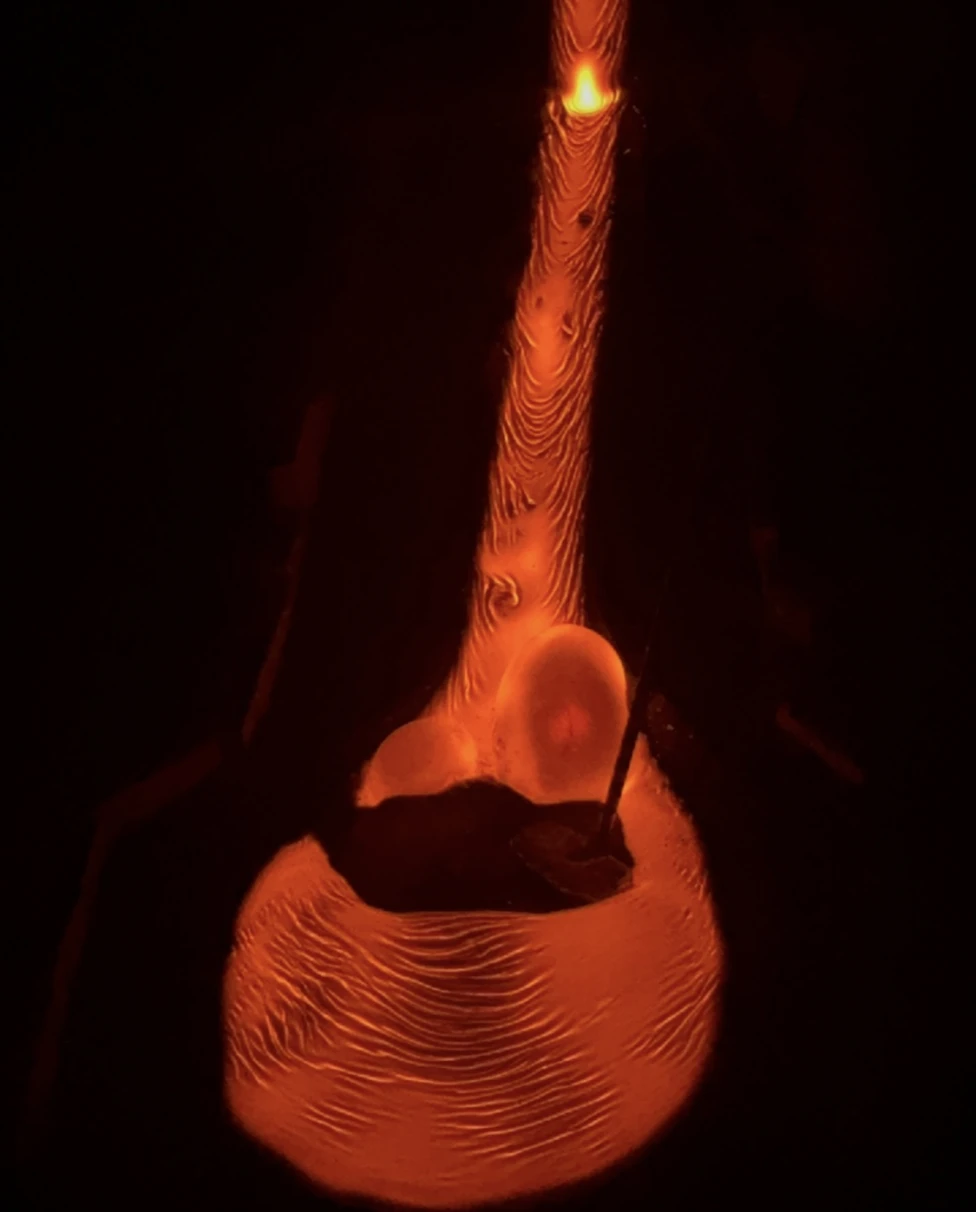 Advisor - Icons in Iceland