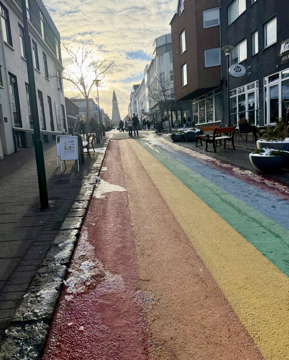 Advisor - The Best of Reykjavík!