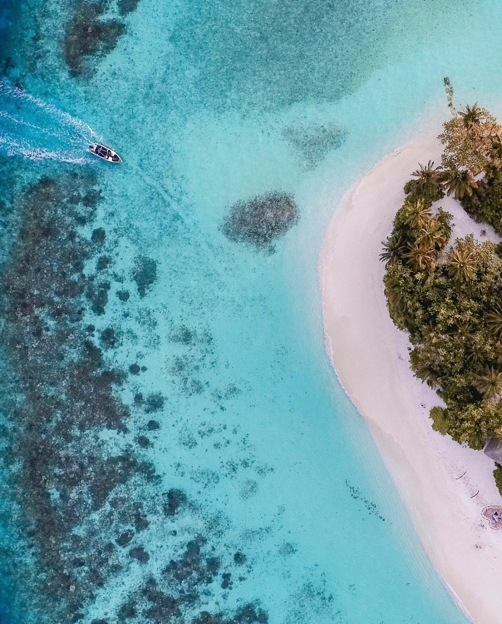 Advisor - Beyond South Beach: Miami’s Luxe Life Uncovered