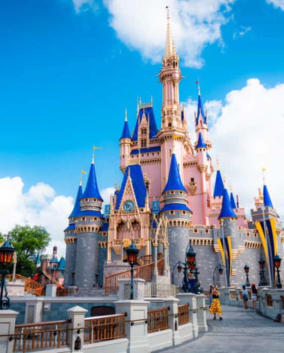 Advisor - The Littlest Mouseketeers: Disney with Littles